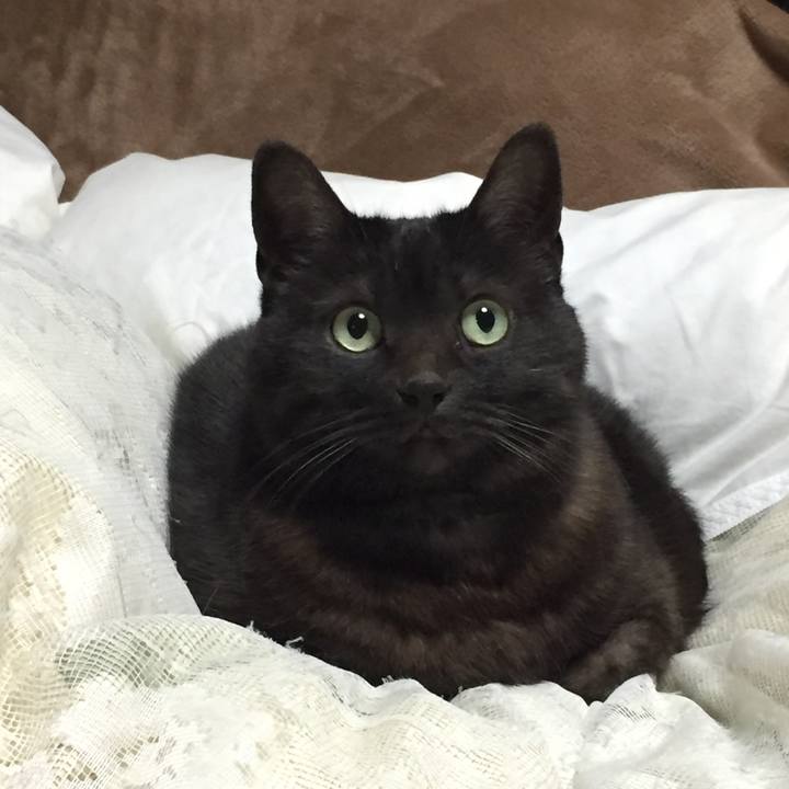 83fc626a 4c3a 4387 a149 9753b8674b78