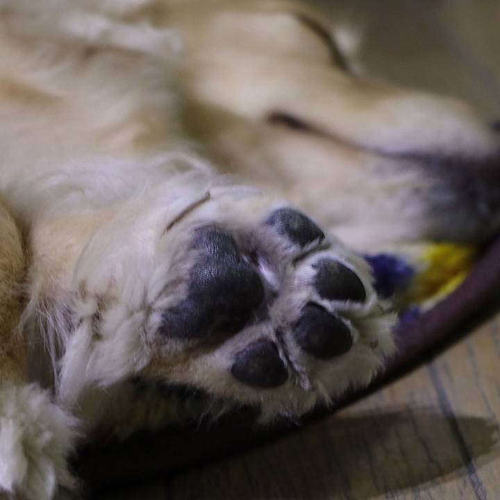 83fc6cf5 70c2 4bb9 8888 546116592d90