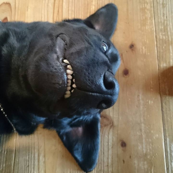 83fce249 9663 4633 b3ae 102ddeb8cc68