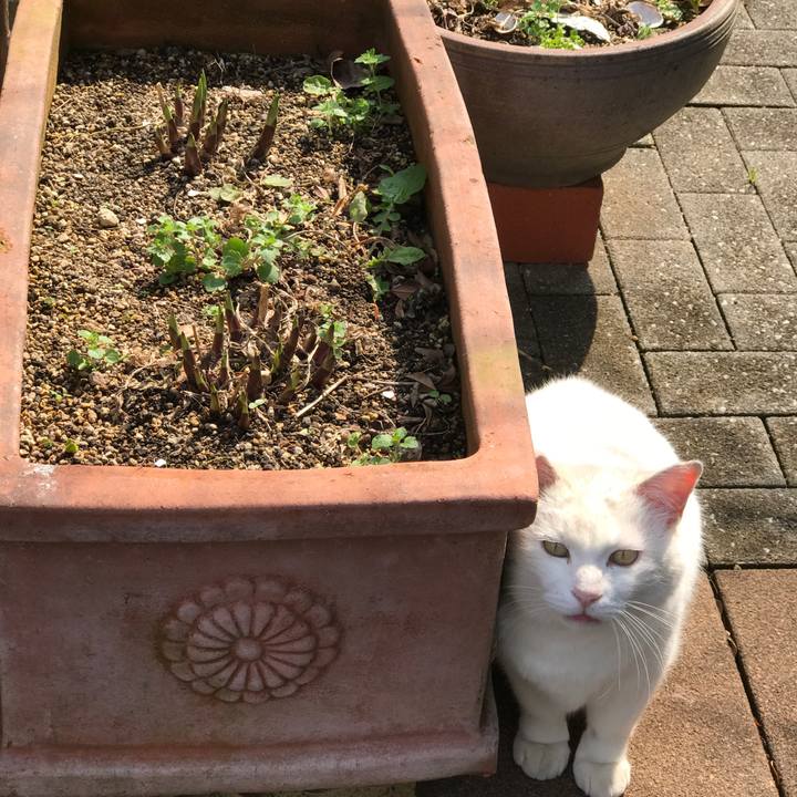 83fcf47f 3ad6 47e5 9cc5 09f65bd649a4