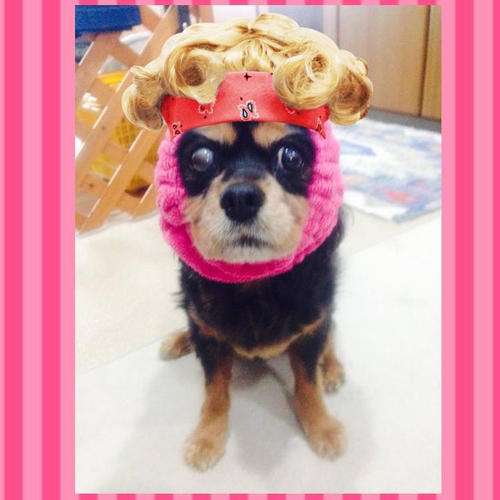 83fd508c 861f 4eaa aa2c 5a0d06f88218