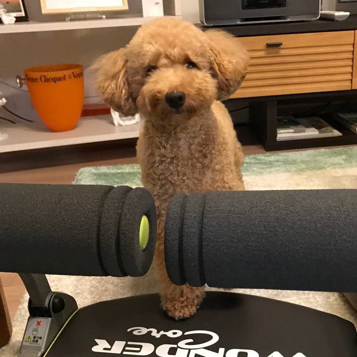 83fd7223 e38d 4930 ab22 ba2ed444b18d