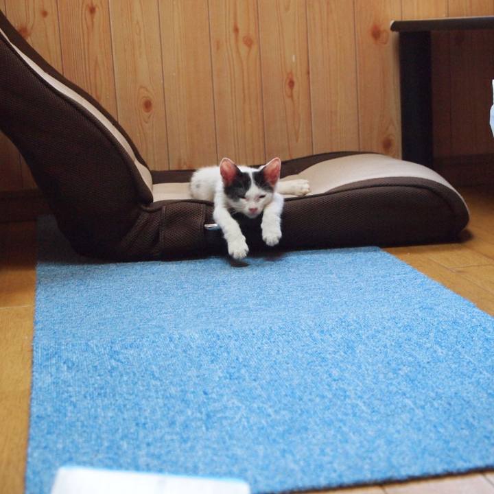 83fddc64 275f 4797 af44 a5afe1c7942f