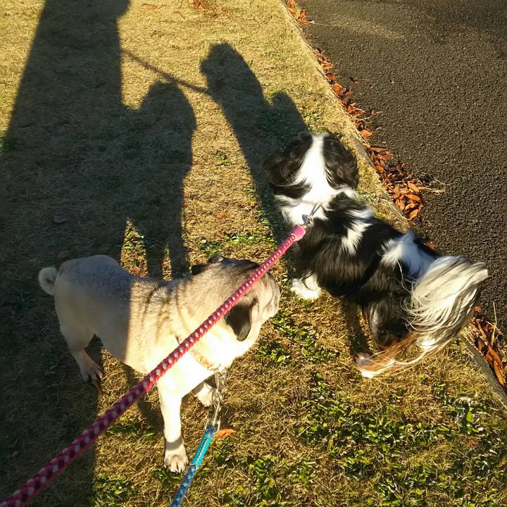 83fdfdd4 0e82 4cd8 a2ea 77d2ddf74a3e