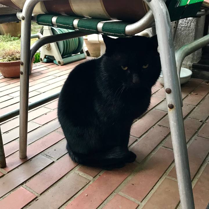 83fe6d4b 6907 4e2a a5b1 a149fc58799a