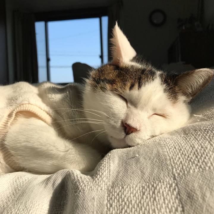 83ff48c3 7c11 4a77 9c8f 6cd35ebaab92