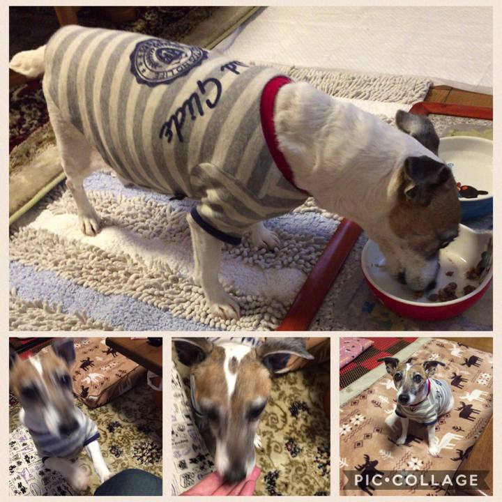 8400f0f5 9b8d 4fbf a64c e69728b5e19c