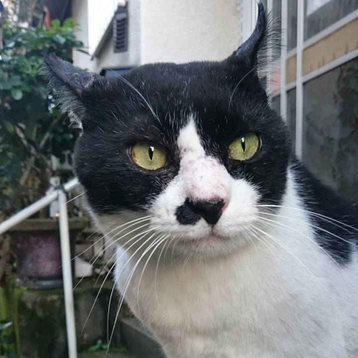 84029a04 2104 4d3b a1fd e4df10ac11b2