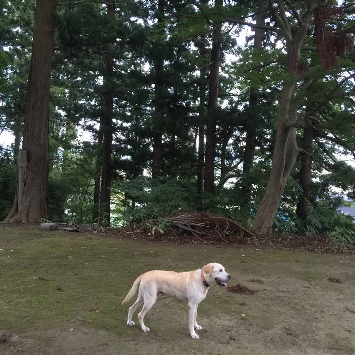 840340f1 dc42 4079 8a30 de5c6c698cfb