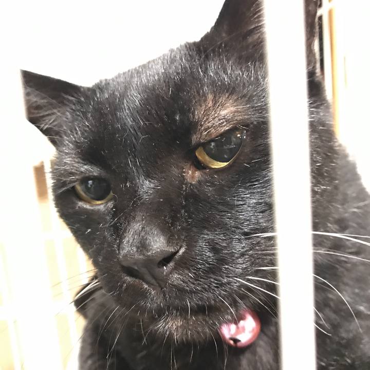 84036190 6a32 452b 8b5d 5a55d1440c4f