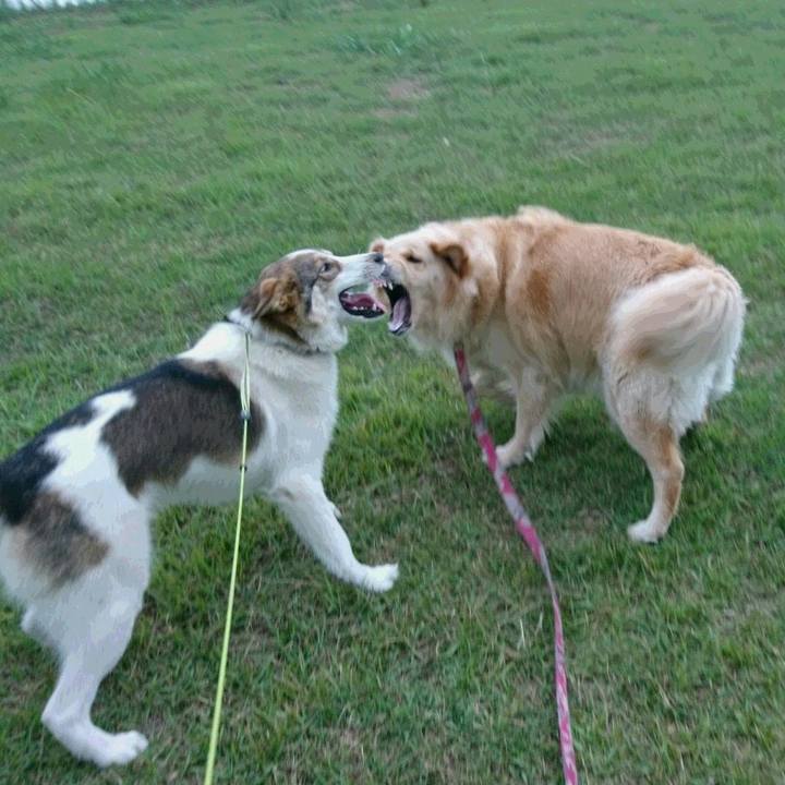 8403632e 6097 4e2f b9da f42ba99d3f42