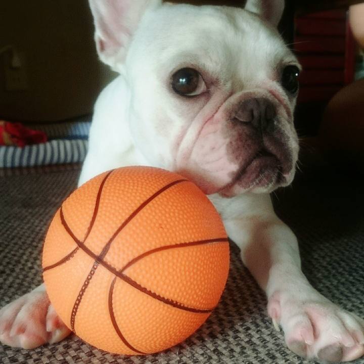 8404516a 79d8 4c54 b96d 05c4992bc093