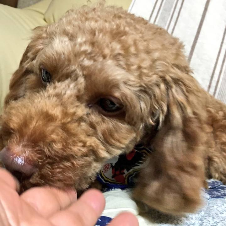 840588d7 e5ad 43a8 964f ed26f09e6036