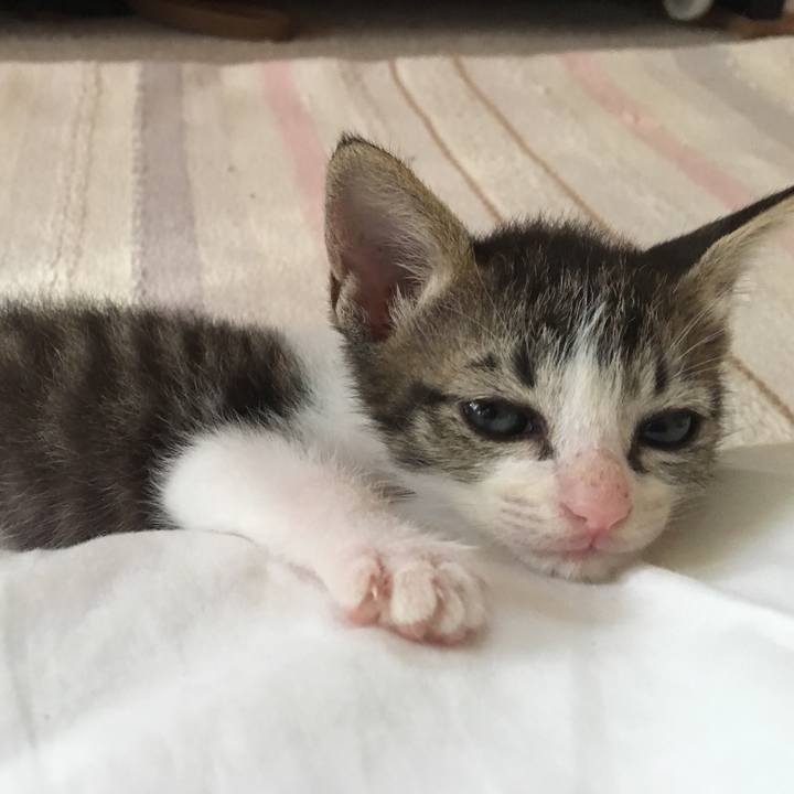 84058ec7 0e72 4f6c bc27 c8502a361211