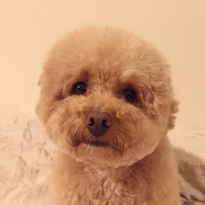 84059efb 6cfa 4ae0 8b56 c5bfa9c5f006