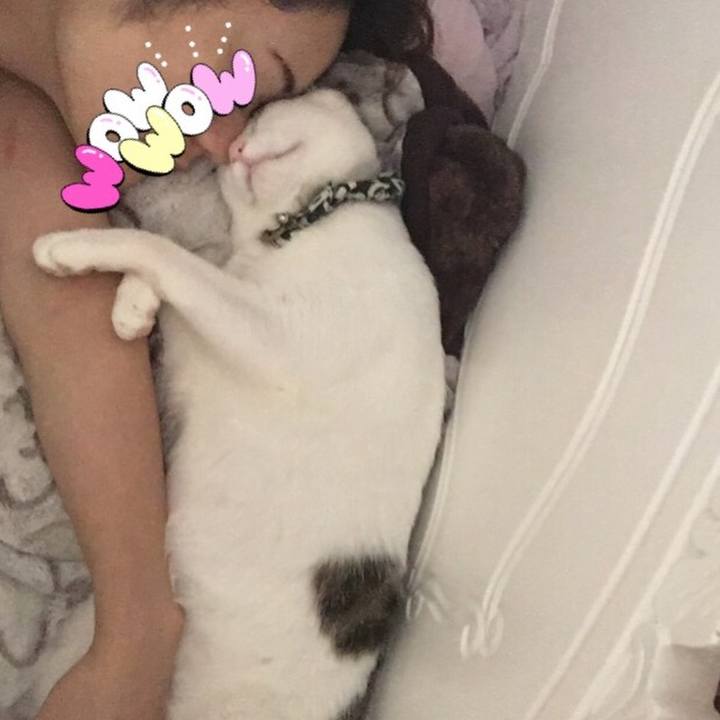 84064314 a377 4967 a3c7 b3accd24346b