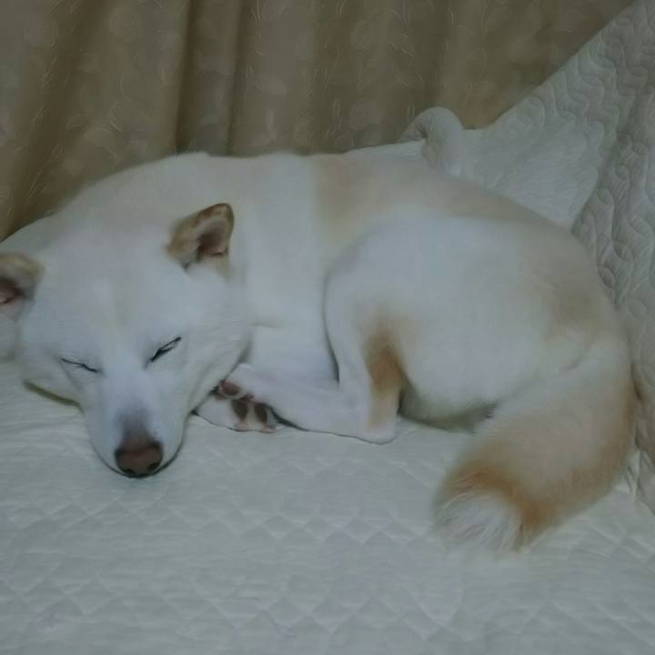 840644e7 3e65 43a1 86c4 e9aa7feef8d9