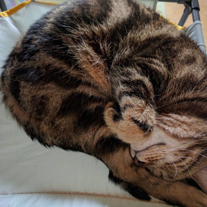 84070dd7 36d9 46ad b4bc 3a3f0c56da3e