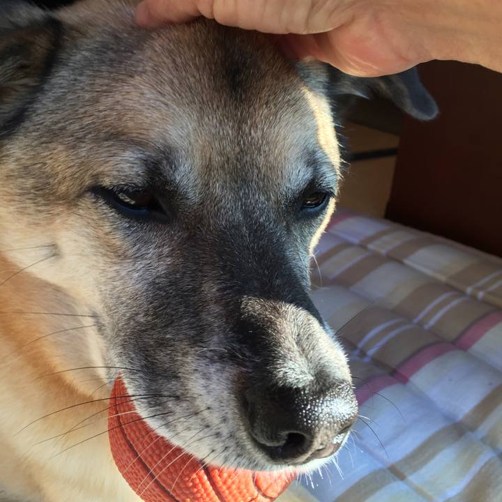 840767b8 6cf2 429d 8611 574eb6360c61