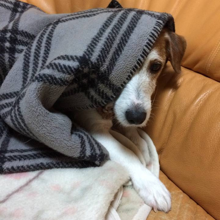 84076b90 6e4e 4eb6 bc96 16b4a3eff18c