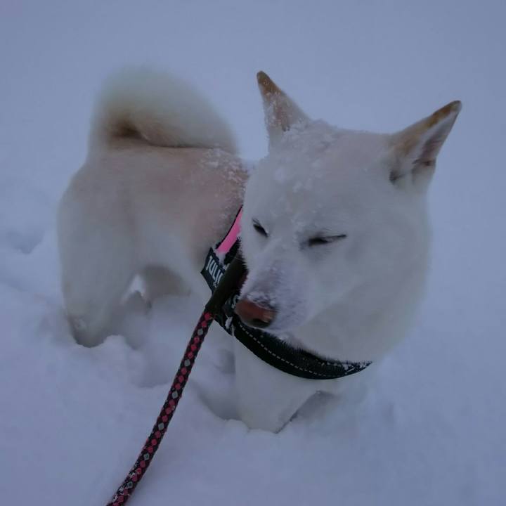 8407e0a1 4eb2 4893 a96d d78cd84094f6