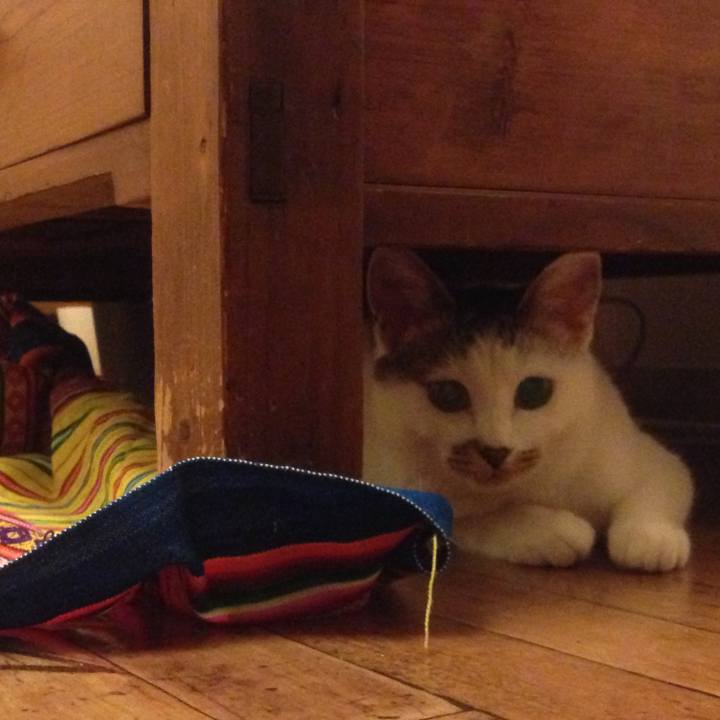 8407e40c 51e3 4c28 8e5f 017c339dcef3