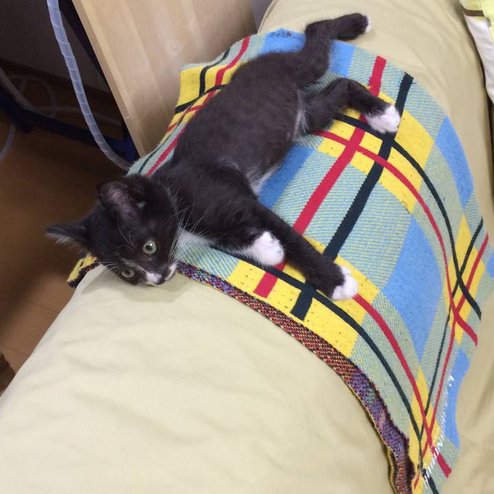 8407f247 0448 44e9 b4cc c60e35994ee8