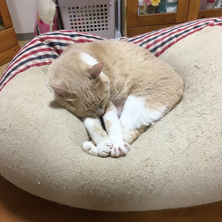 8408e2cc 7ef9 444b 84ad 7e13126cefff