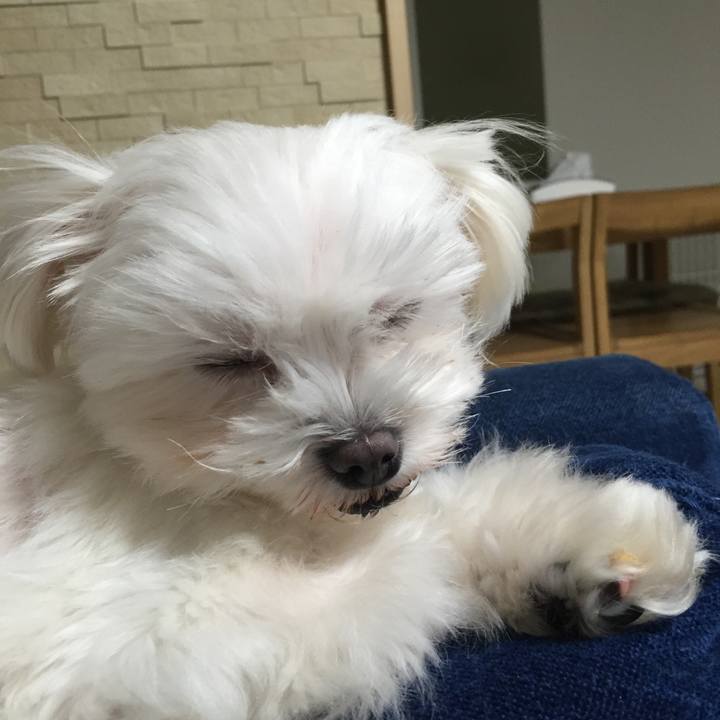 8408f15e 20f4 4571 8d23 96d24c3bc3ed