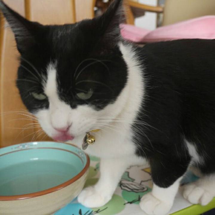 84090ecd aaae 4e9d a4c8 71a221cc6b57