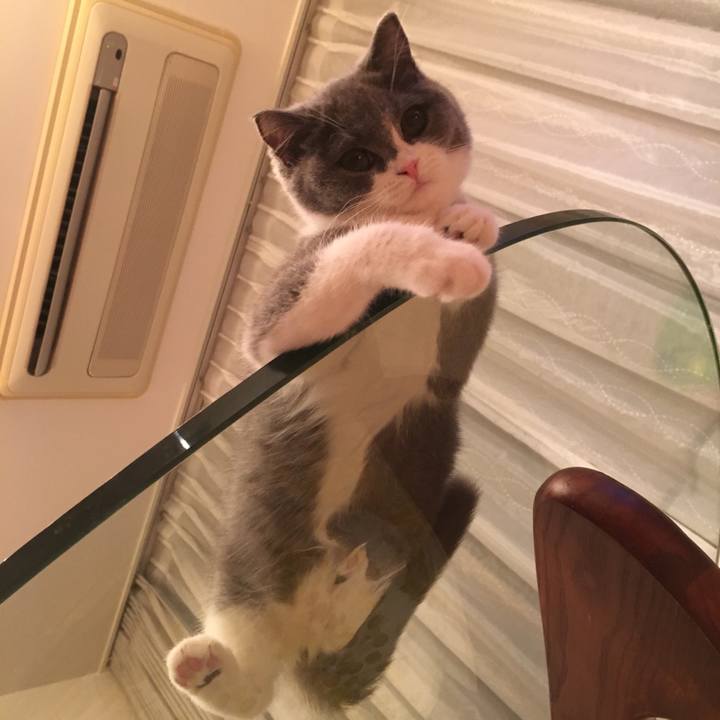 8409182f e8e7 450f b0b5 9c4e4f187a16