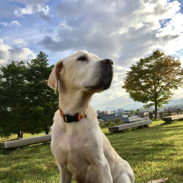 84093bc1 7bf3 44b7 836e 5dfe89ac706f