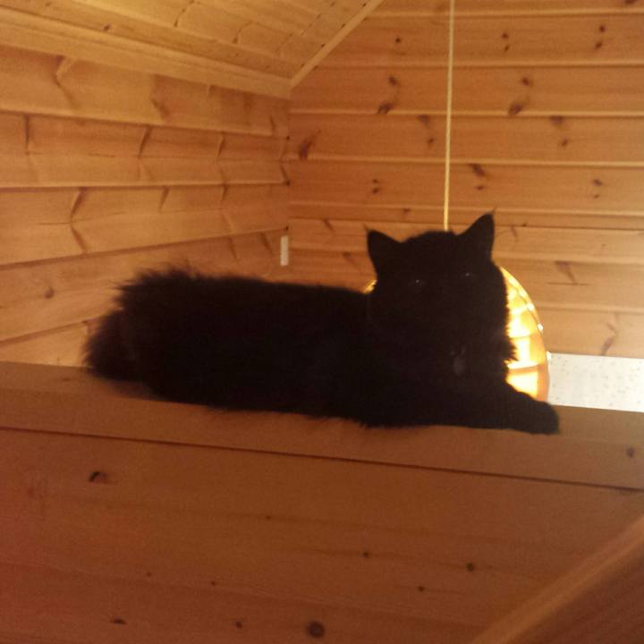 840ad7a6 7502 463b 8d15 f0425430519a