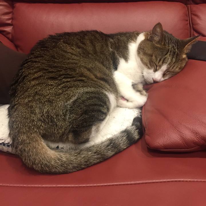 840b1ca0 1a19 4c36 9f09 257d95810391