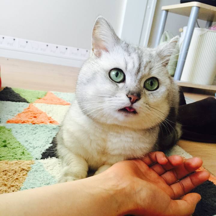 840b410d 6217 4826 8072 b876760c1407