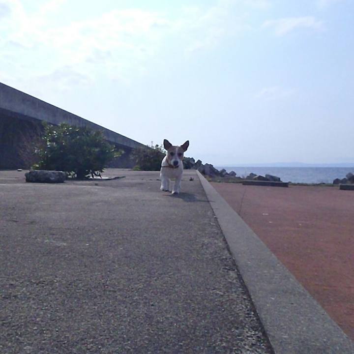 840b5b38 1be7 4391 9b12 46898524d01c