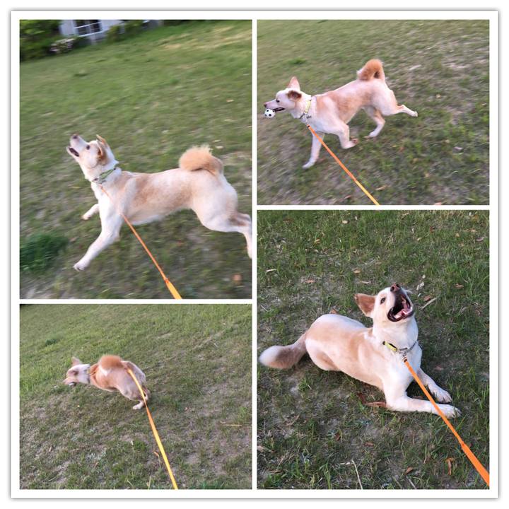 840b639b 3dca 47b4 8800 485fb9d19352