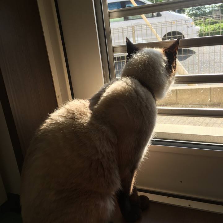 840bc7b4 535f 4e10 9330 cba00c8b7a0a