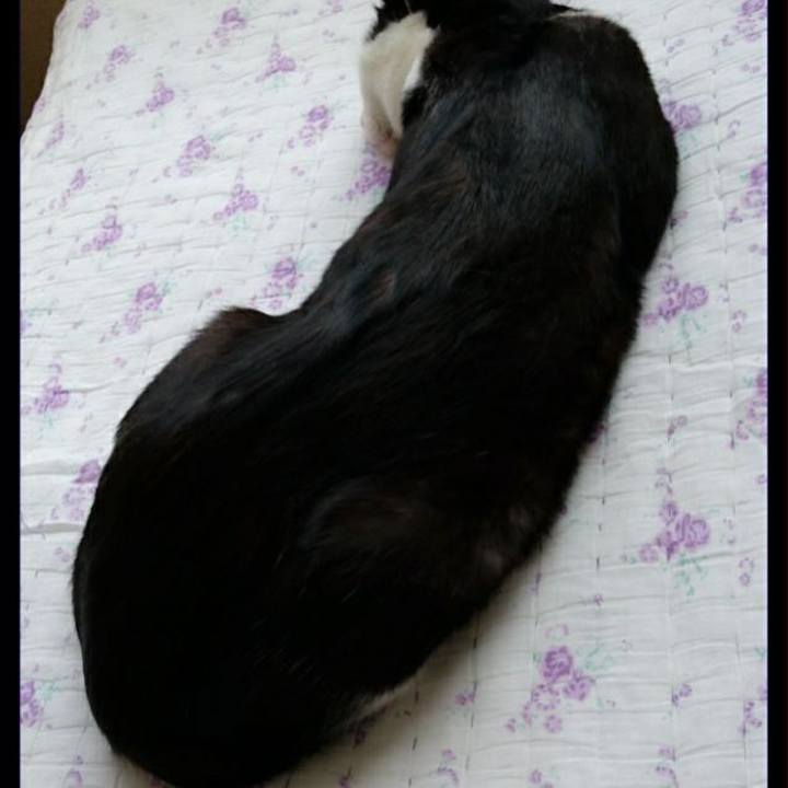 840bde3c dd0e 4fbd b925 a4692708a70c