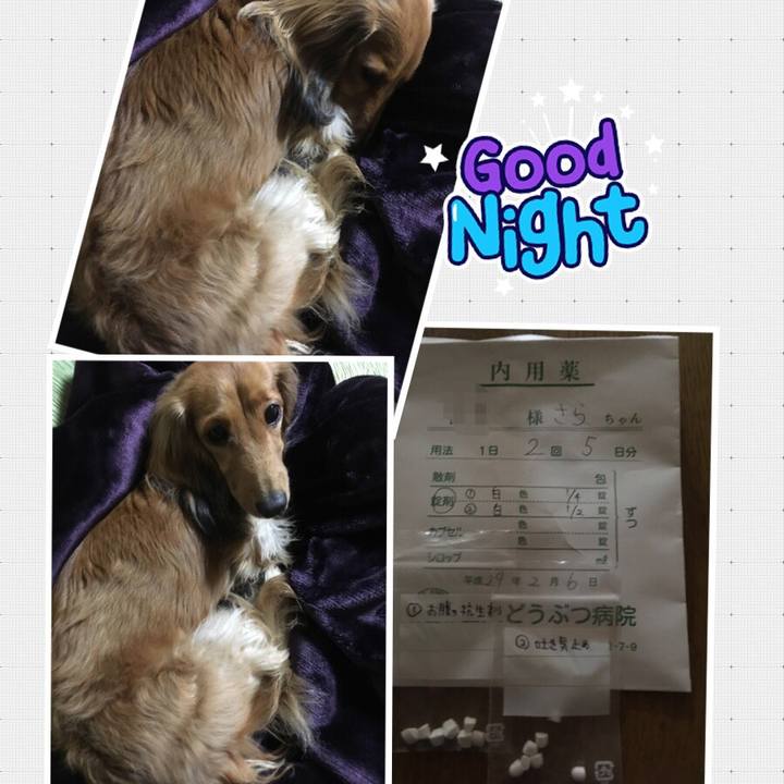 840c8fc2 c6ac 4559 99e9 49c86b29298b