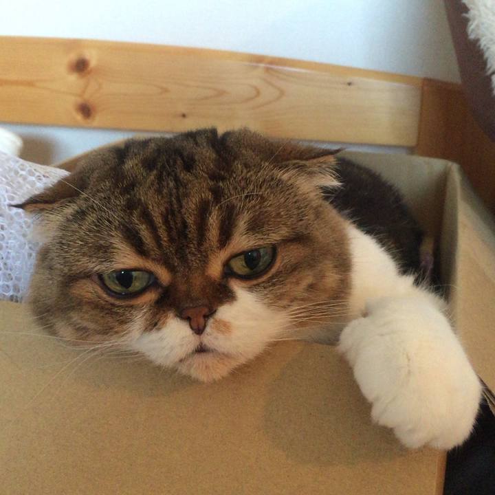 840d8cb7 104c 4e83 8cfa b398a78b9ecb