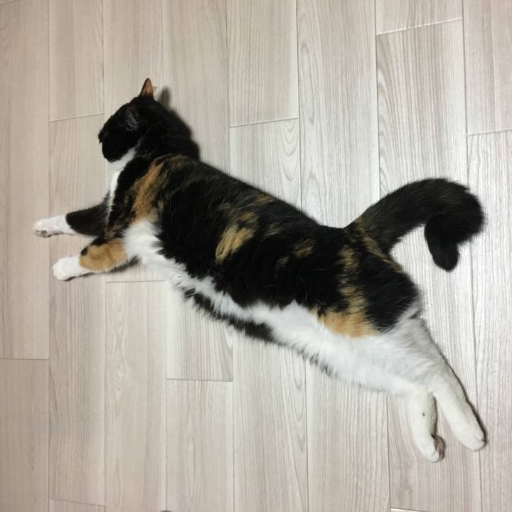 840db06f 5de2 4469 ba24 fa8c3d77efaa