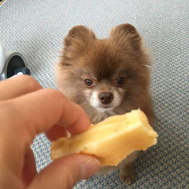 840e2454 09fd 4b36 a101 b9836811a589