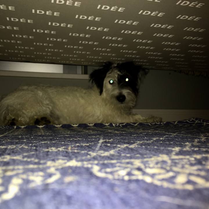 840e367e e81c 4abb 876c 90198a7a5b29