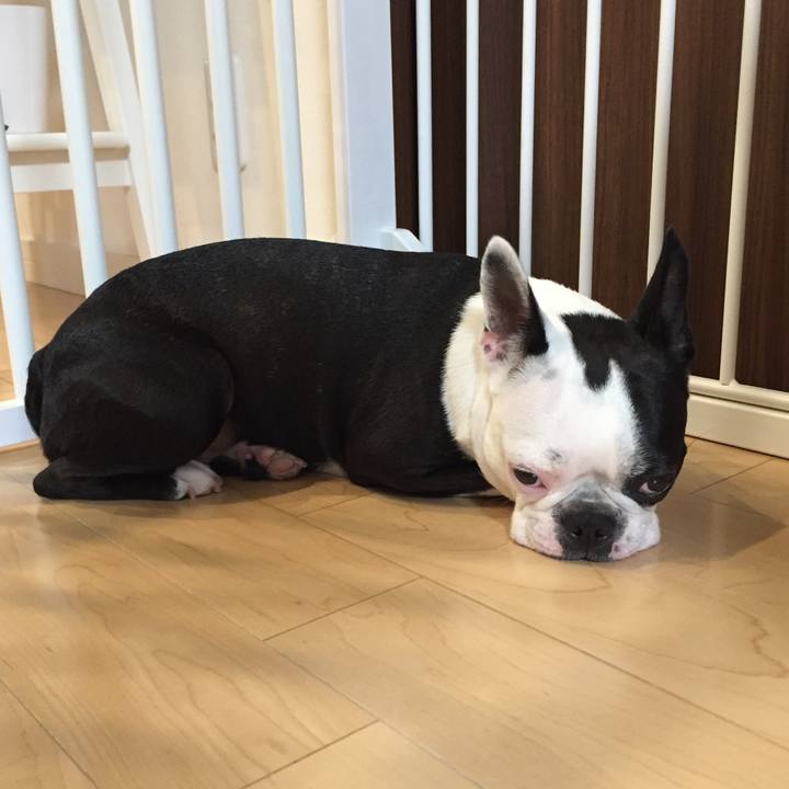 840eb977 7932 44c8 a287 4c1ac0cb08b9