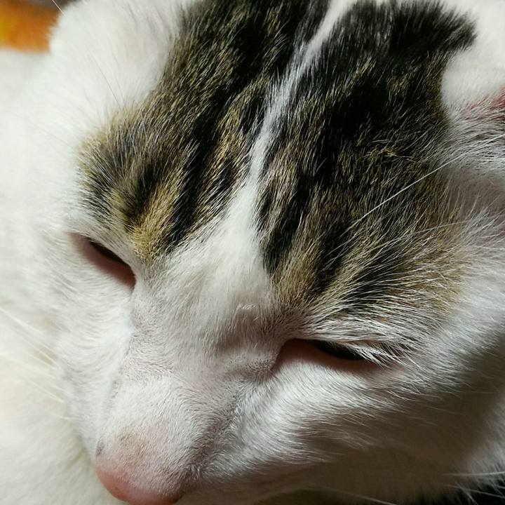 840f0643 e838 47cf bbff 75fbf60a88a8