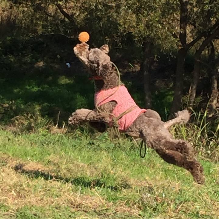 84103b44 9a8d 4878 8177 e3761257649d