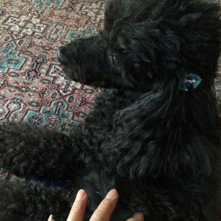 841040f7 7ce9 4004 bd61 13dfb2f3b70b