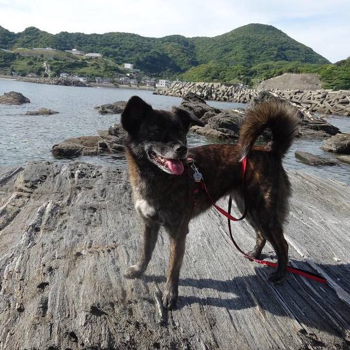 84108e35 fd02 43ba 8164 897ddbb28b62