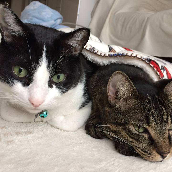 8410a897 0d8d 4883 9455 0b7f0a96be60